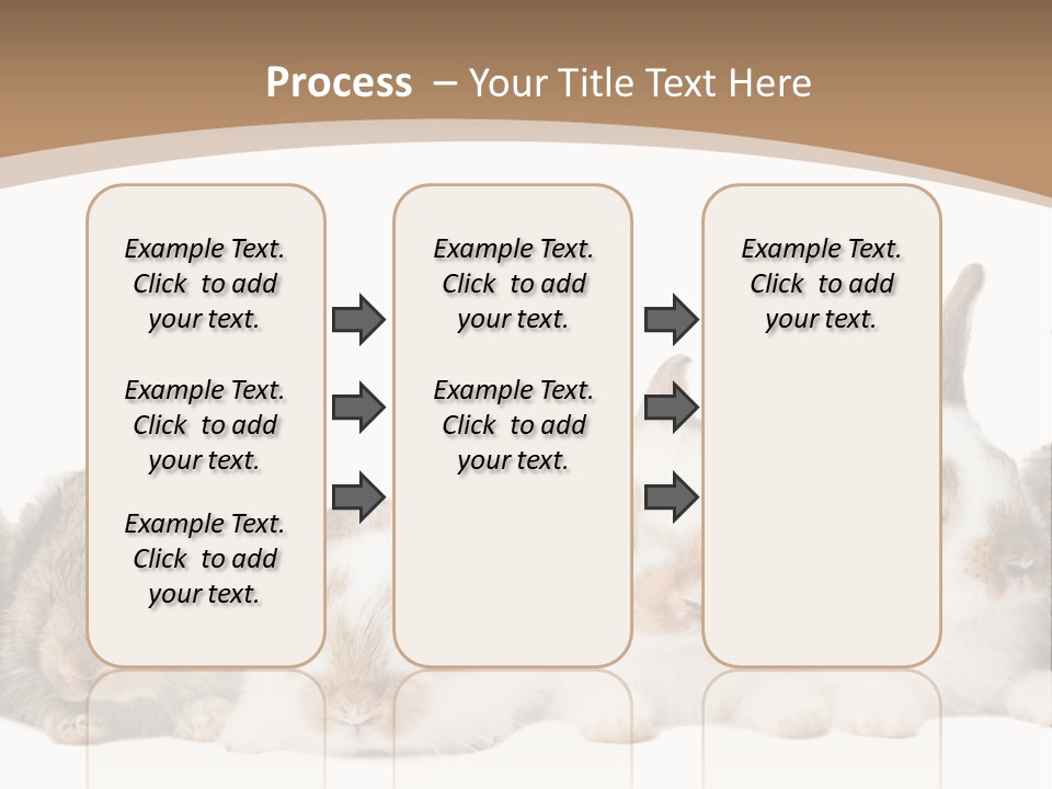 Hare Little Mammal PowerPoint Template