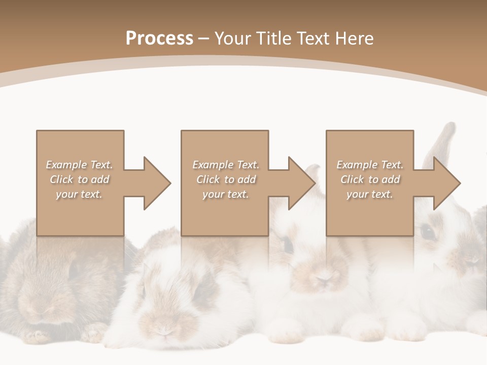 Hare Little Mammal PowerPoint Template