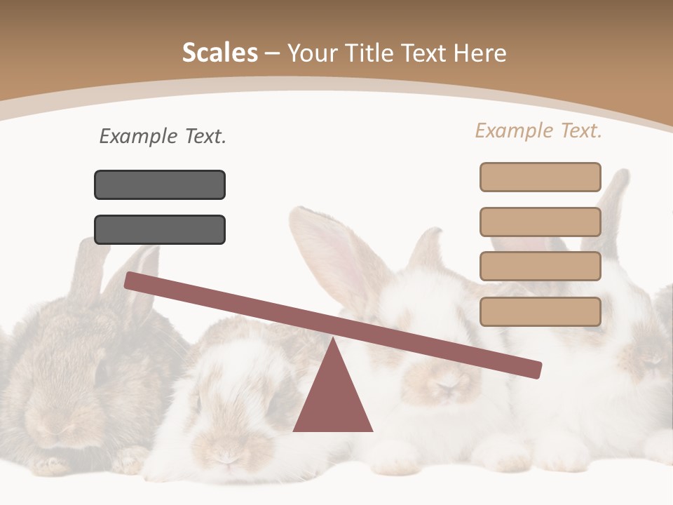 Hare Little Mammal PowerPoint Template