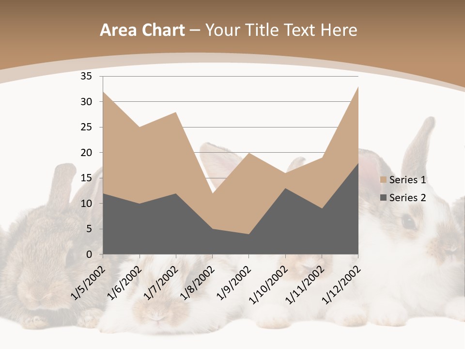 Hare Little Mammal PowerPoint Template