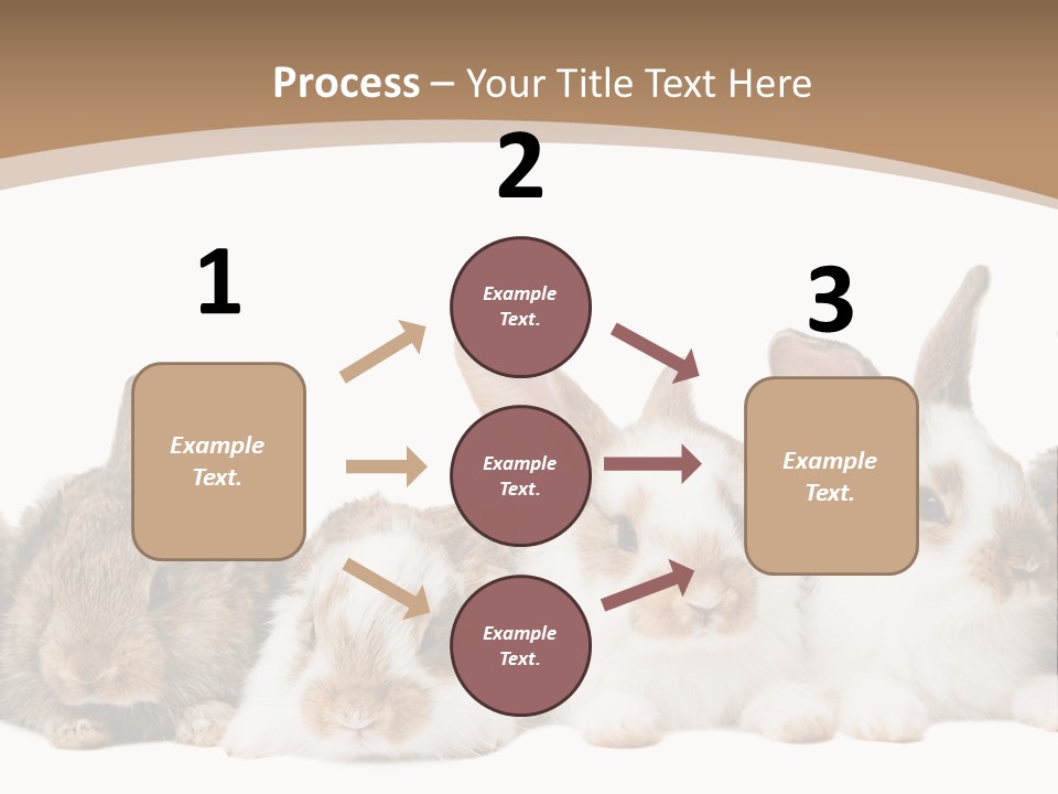 Hare Little Mammal PowerPoint Template