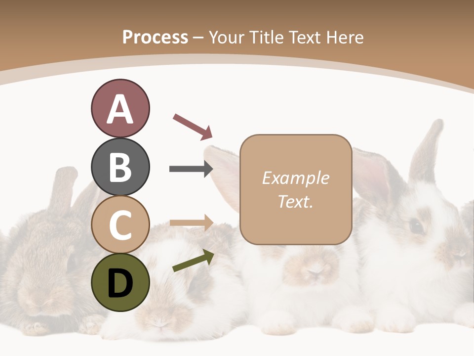 Hare Little Mammal PowerPoint Template