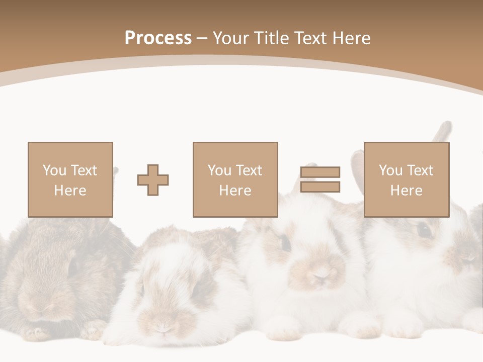 Hare Little Mammal PowerPoint Template
