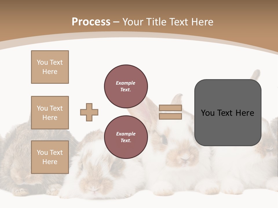 Hare Little Mammal PowerPoint Template