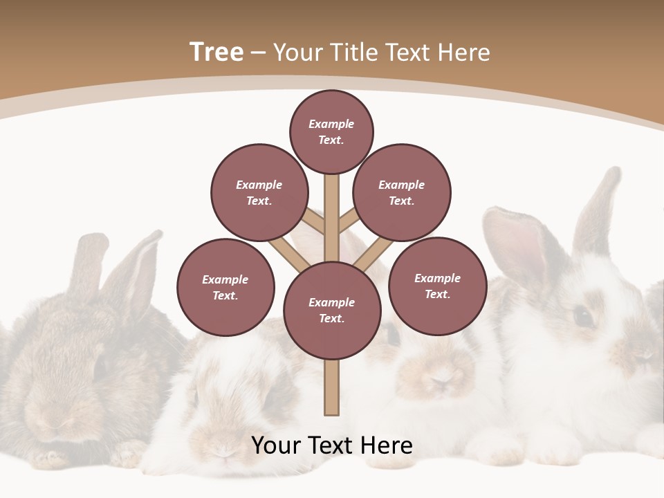 Hare Little Mammal PowerPoint Template