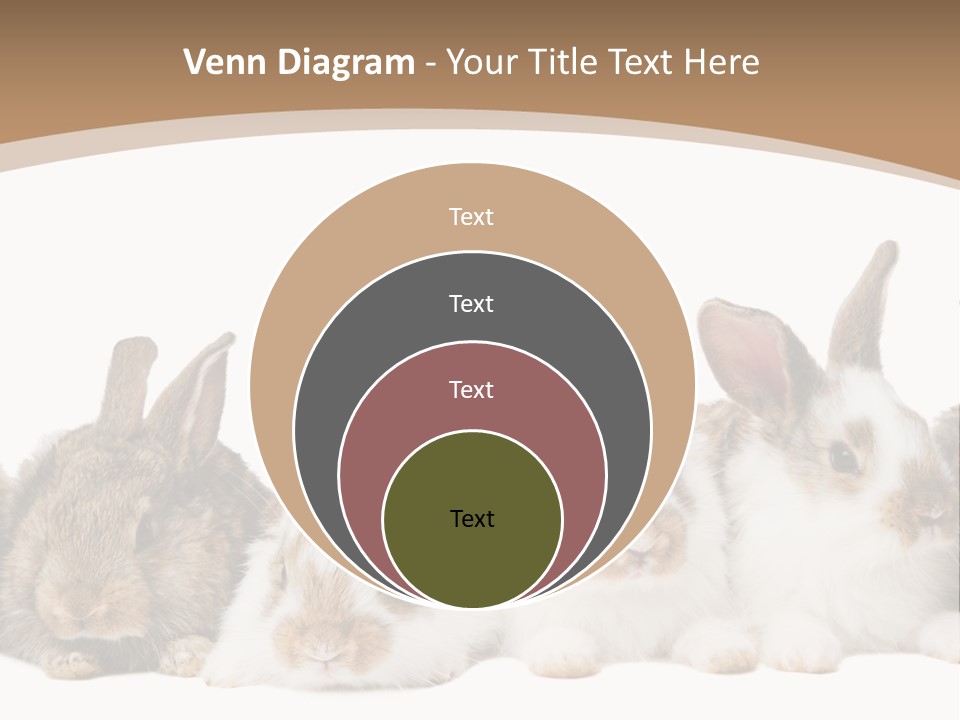 Hare Little Mammal PowerPoint Template