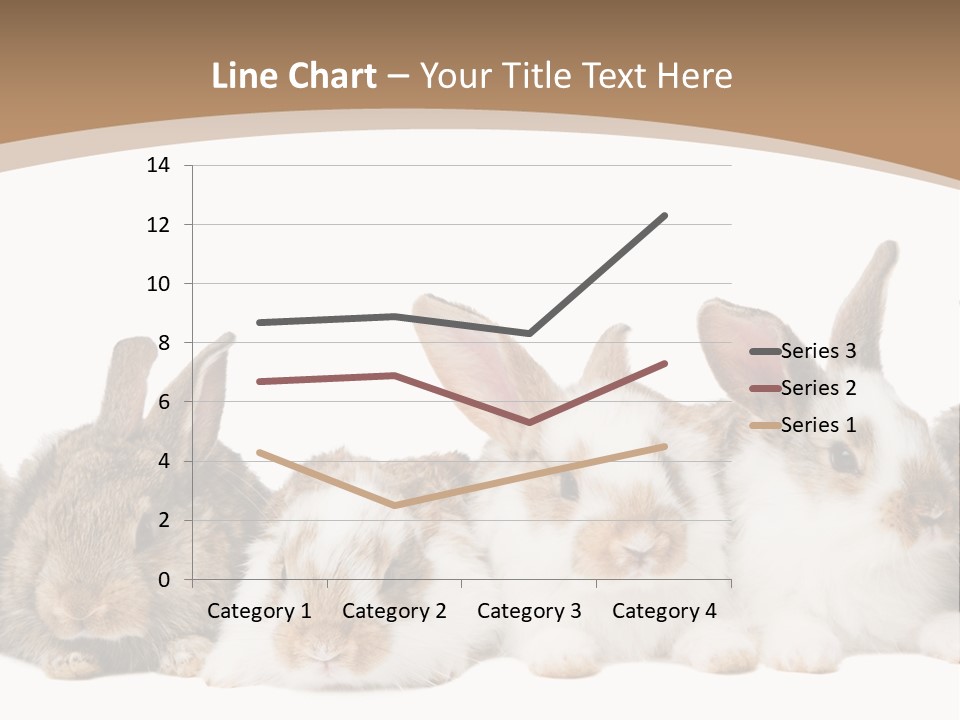 Hare Little Mammal PowerPoint Template