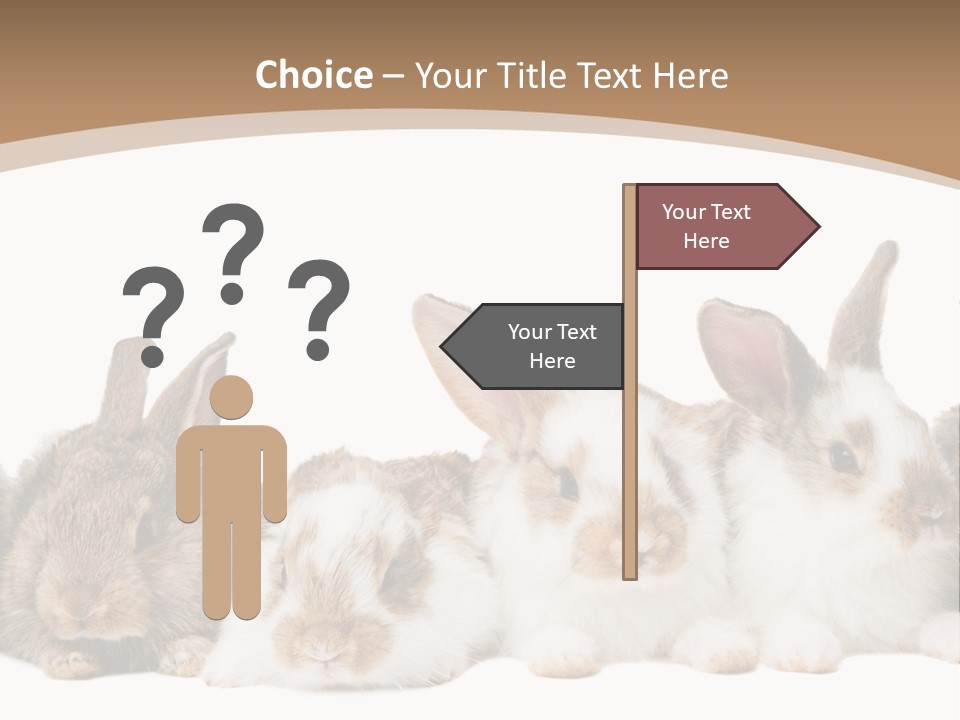 Hare Little Mammal PowerPoint Template