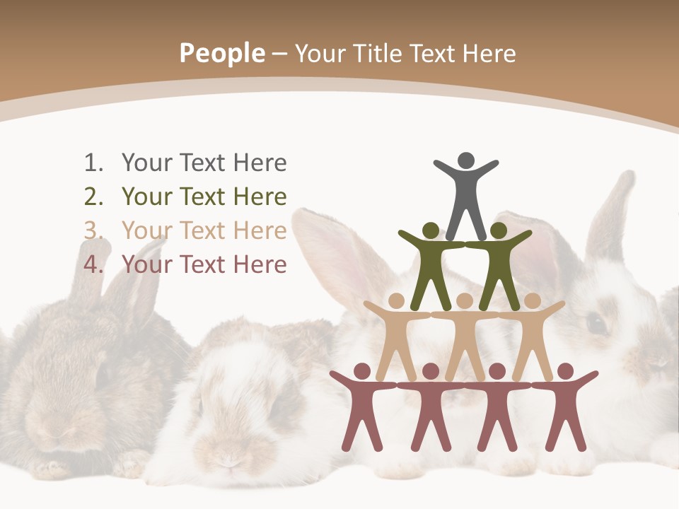 Hare Little Mammal PowerPoint Template