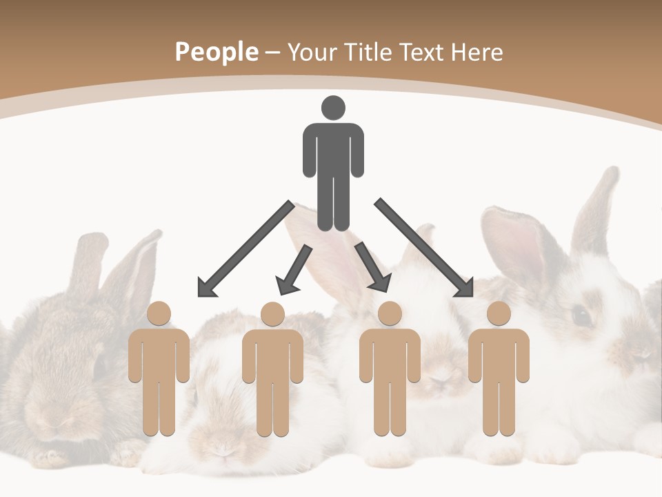 Hare Little Mammal PowerPoint Template