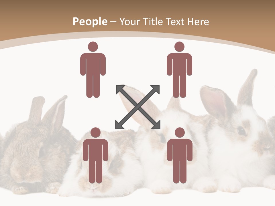 Hare Little Mammal PowerPoint Template