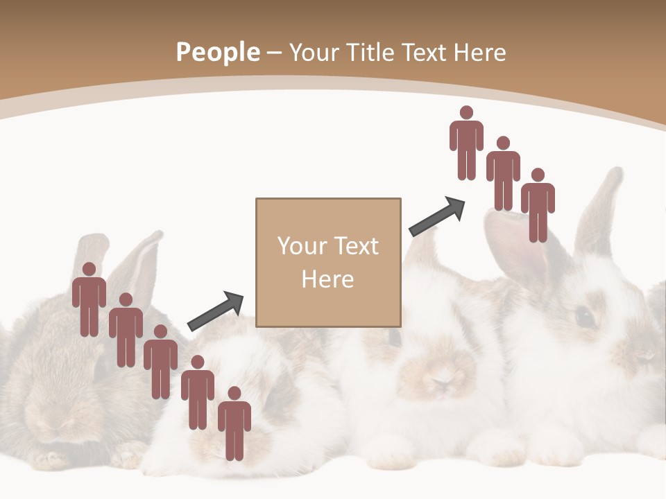 Hare Little Mammal PowerPoint Template