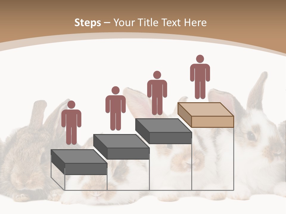 Hare Little Mammal PowerPoint Template