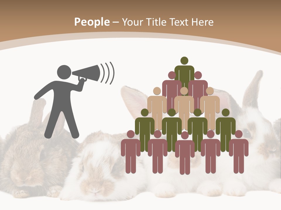 Hare Little Mammal PowerPoint Template