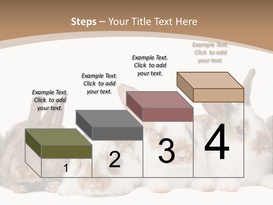 Hare Little Mammal PowerPoint Template