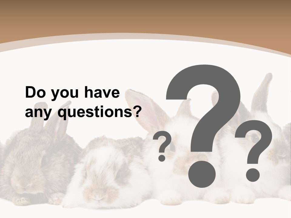 Hare Little Mammal PowerPoint Template