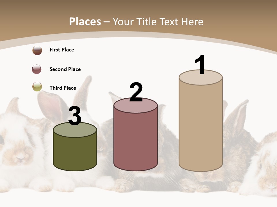 Baby Eight Curious PowerPoint Template