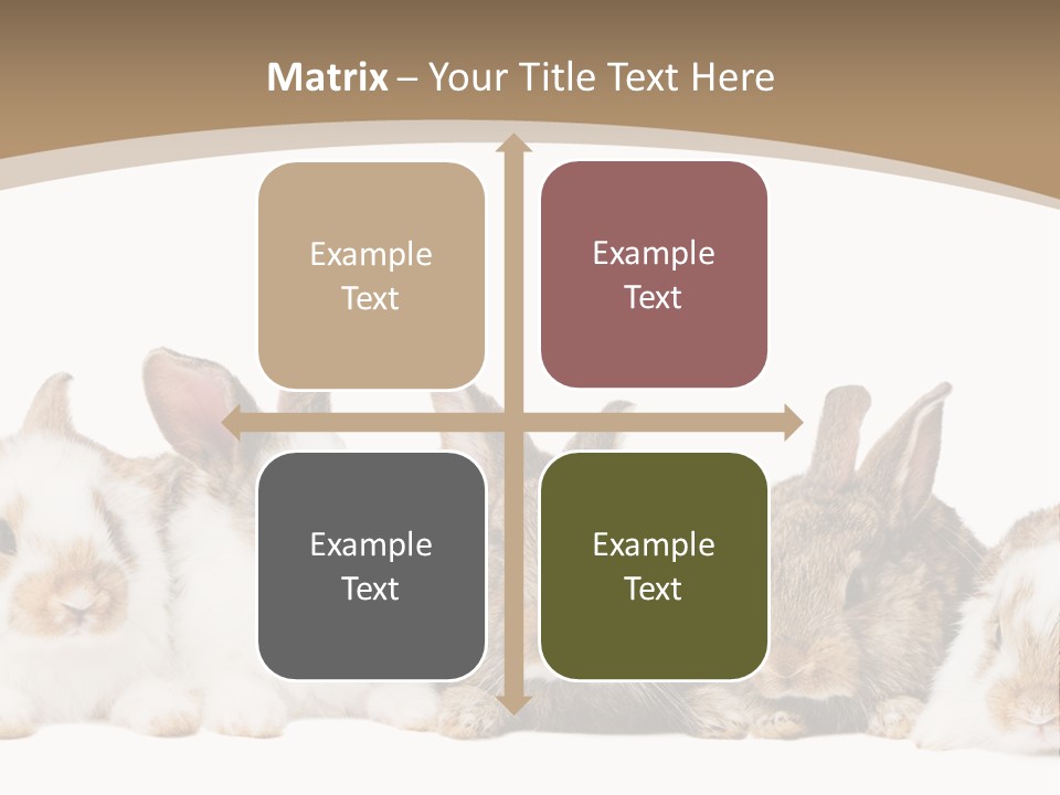 Baby Eight Curious PowerPoint Template