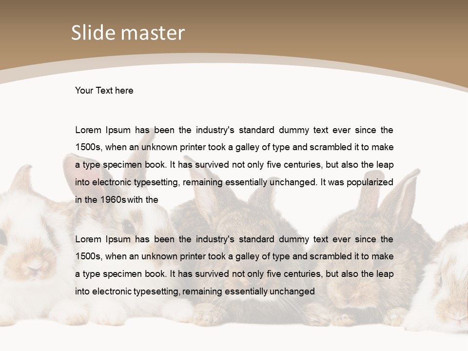 Baby Eight Curious PowerPoint Template