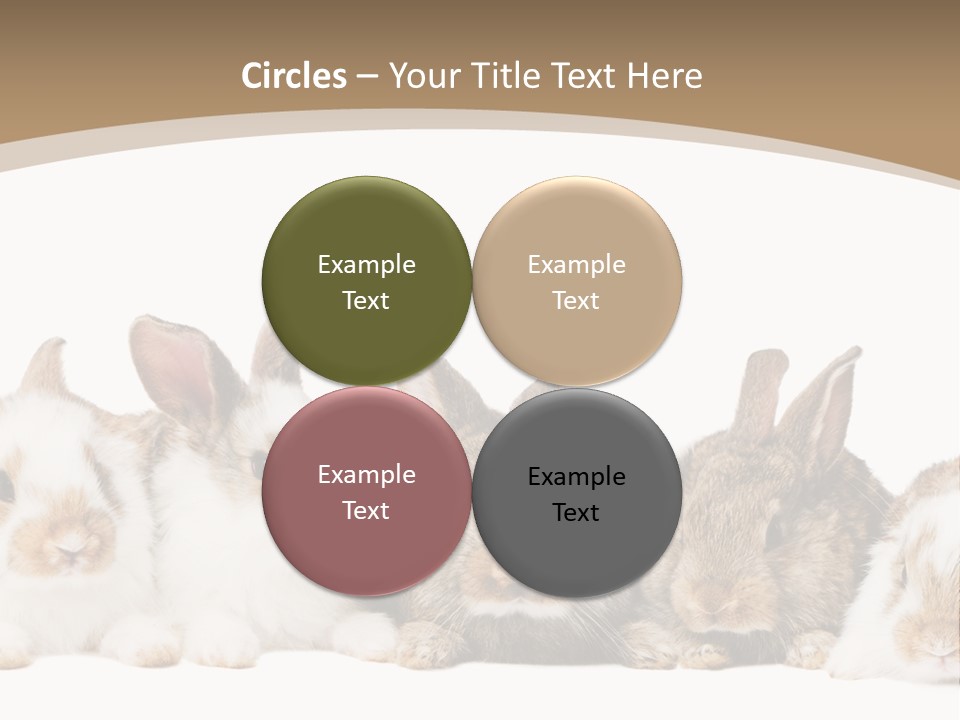 Baby Eight Curious PowerPoint Template