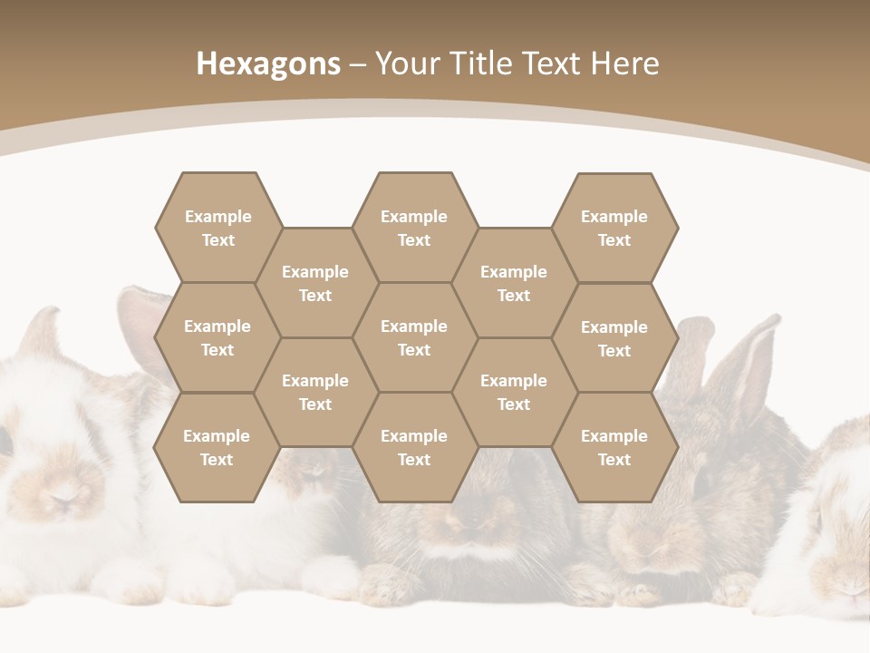 Baby Eight Curious PowerPoint Template