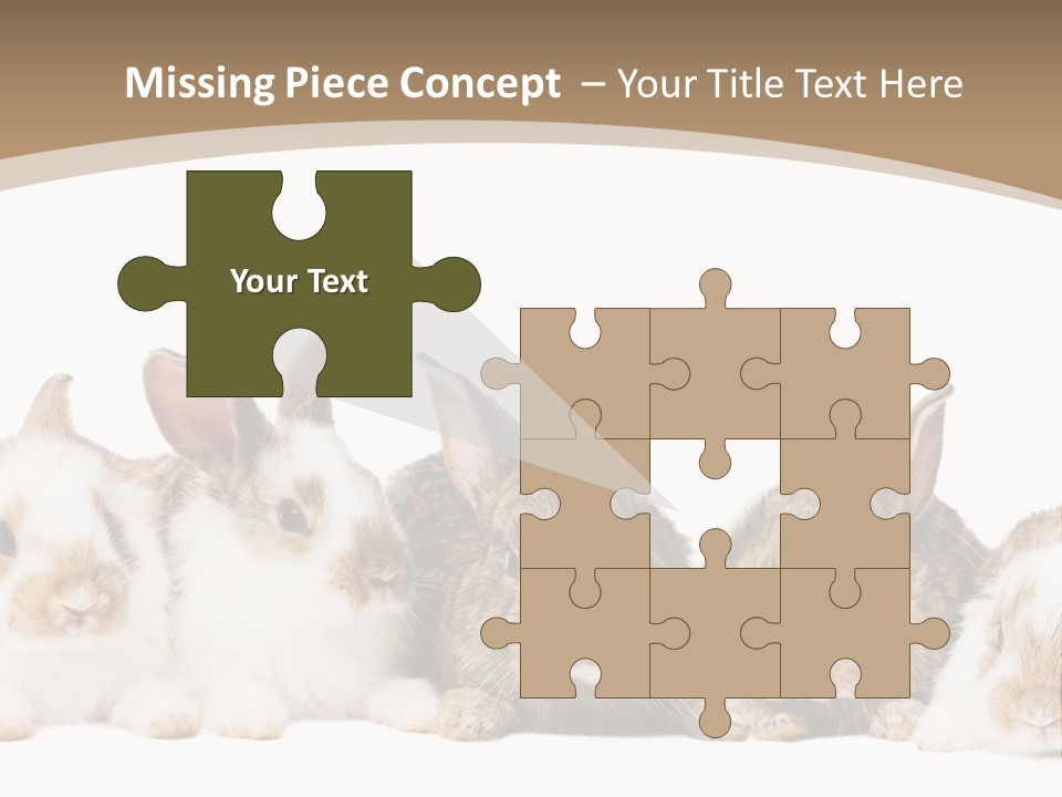 Baby Eight Curious PowerPoint Template