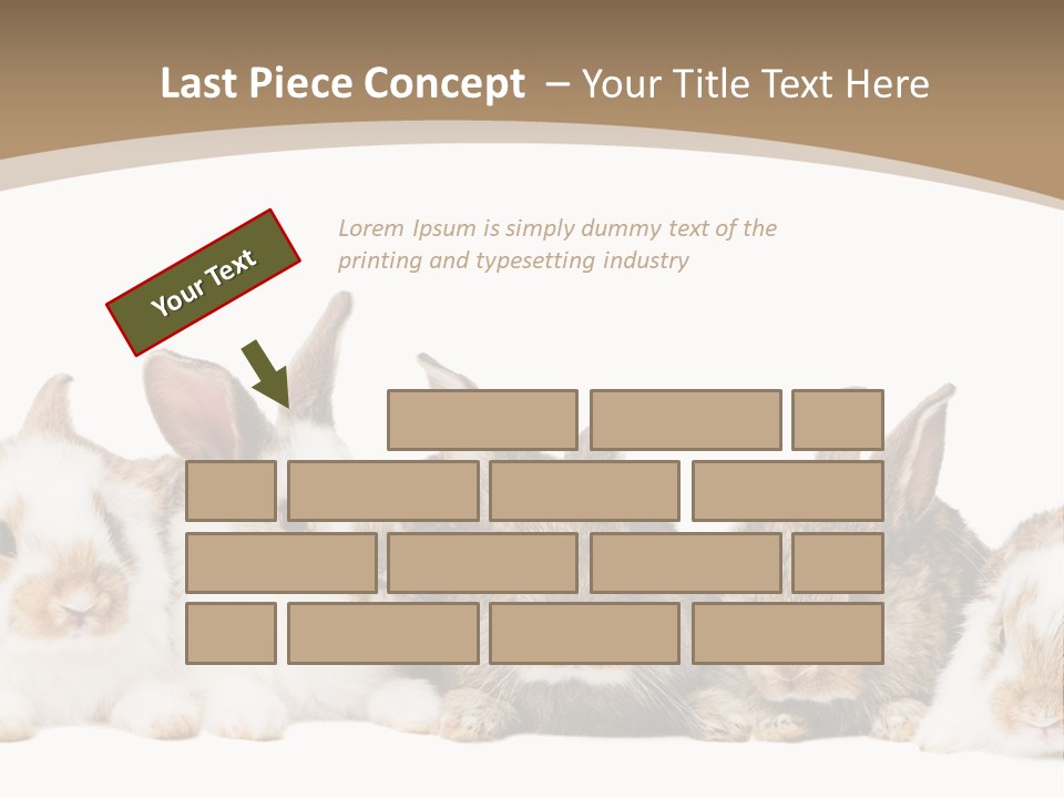 Baby Eight Curious PowerPoint Template