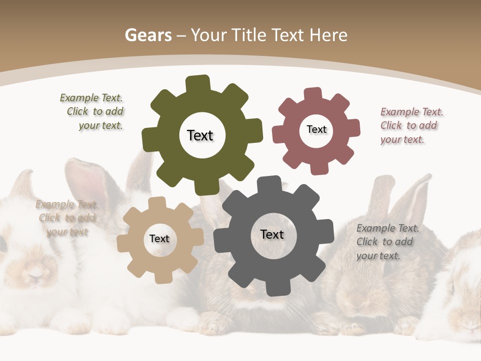 Baby Eight Curious PowerPoint Template