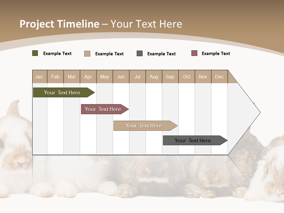 Baby Eight Curious PowerPoint Template