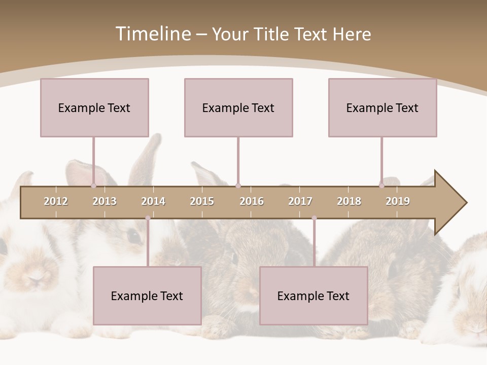 Baby Eight Curious PowerPoint Template