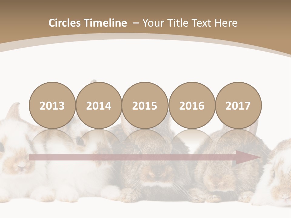 Baby Eight Curious PowerPoint Template