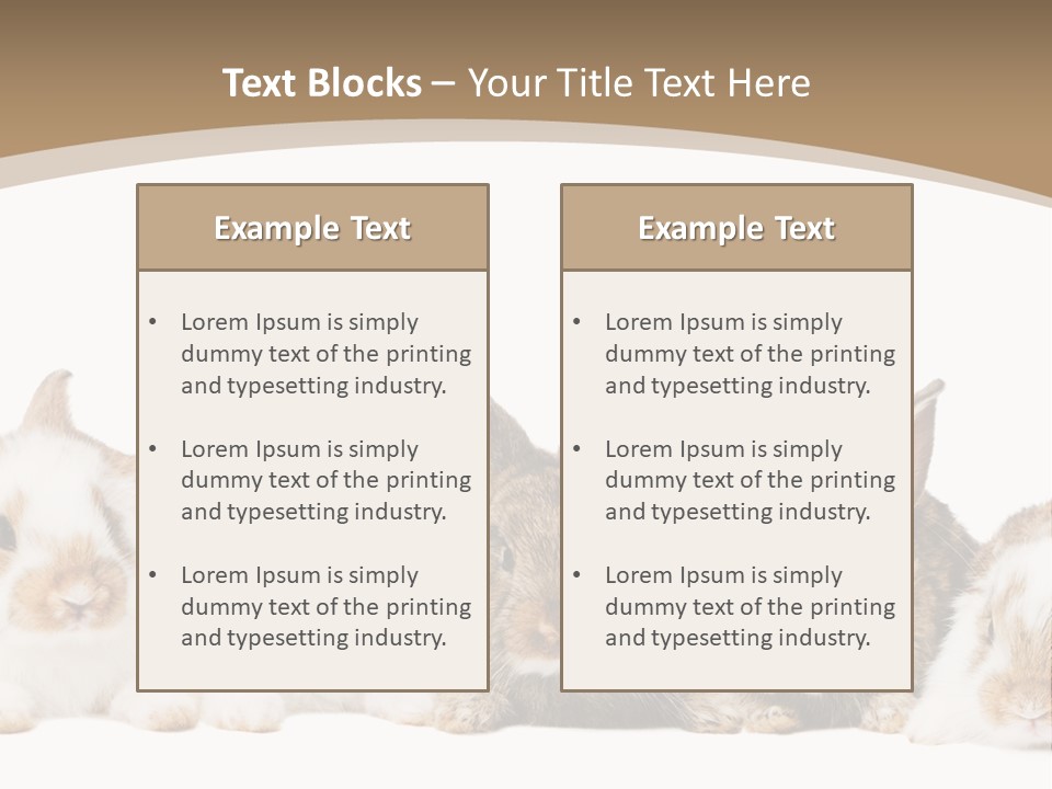 Baby Eight Curious PowerPoint Template