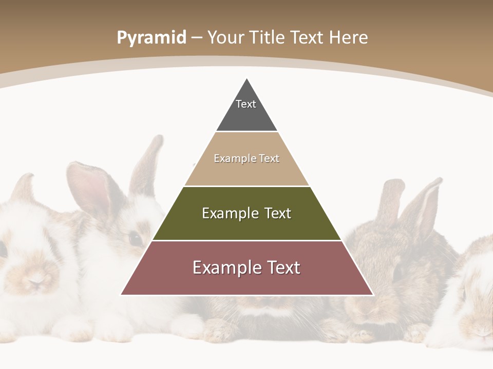 Baby Eight Curious PowerPoint Template