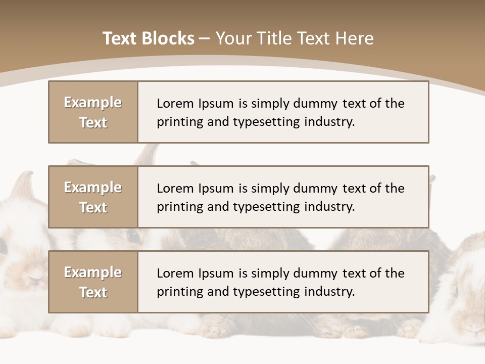 Baby Eight Curious PowerPoint Template
