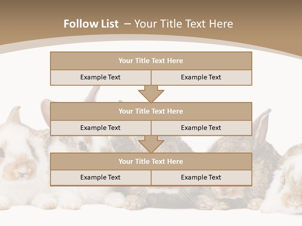 Baby Eight Curious PowerPoint Template