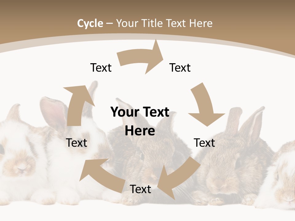 Baby Eight Curious PowerPoint Template