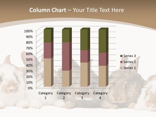 Baby Eight Curious PowerPoint Template