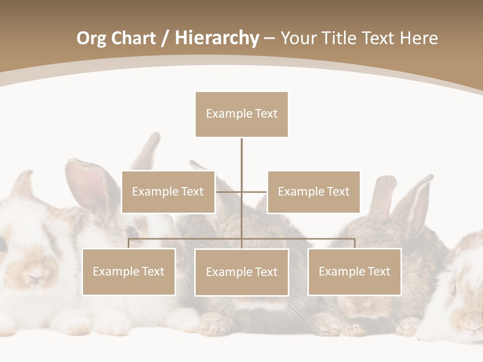 Baby Eight Curious PowerPoint Template