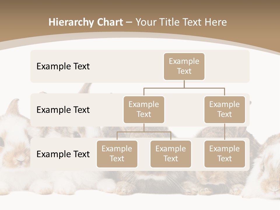Baby Eight Curious PowerPoint Template