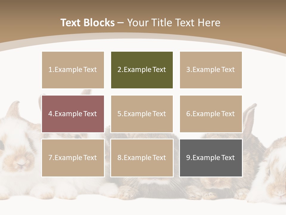 Baby Eight Curious PowerPoint Template