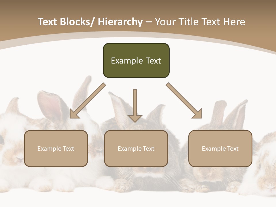 Baby Eight Curious PowerPoint Template