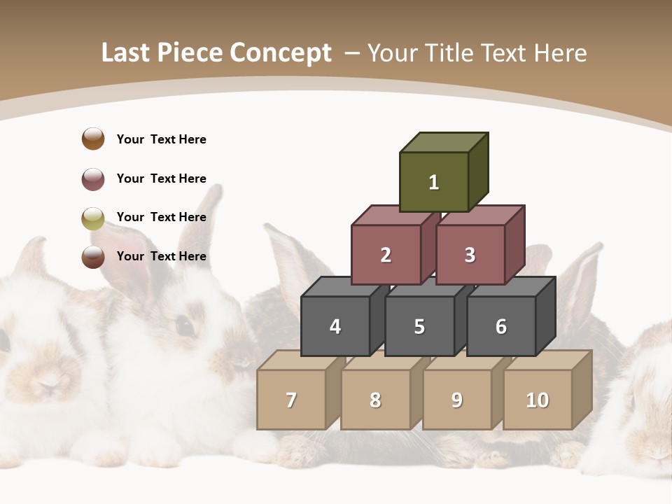 Baby Eight Curious PowerPoint Template