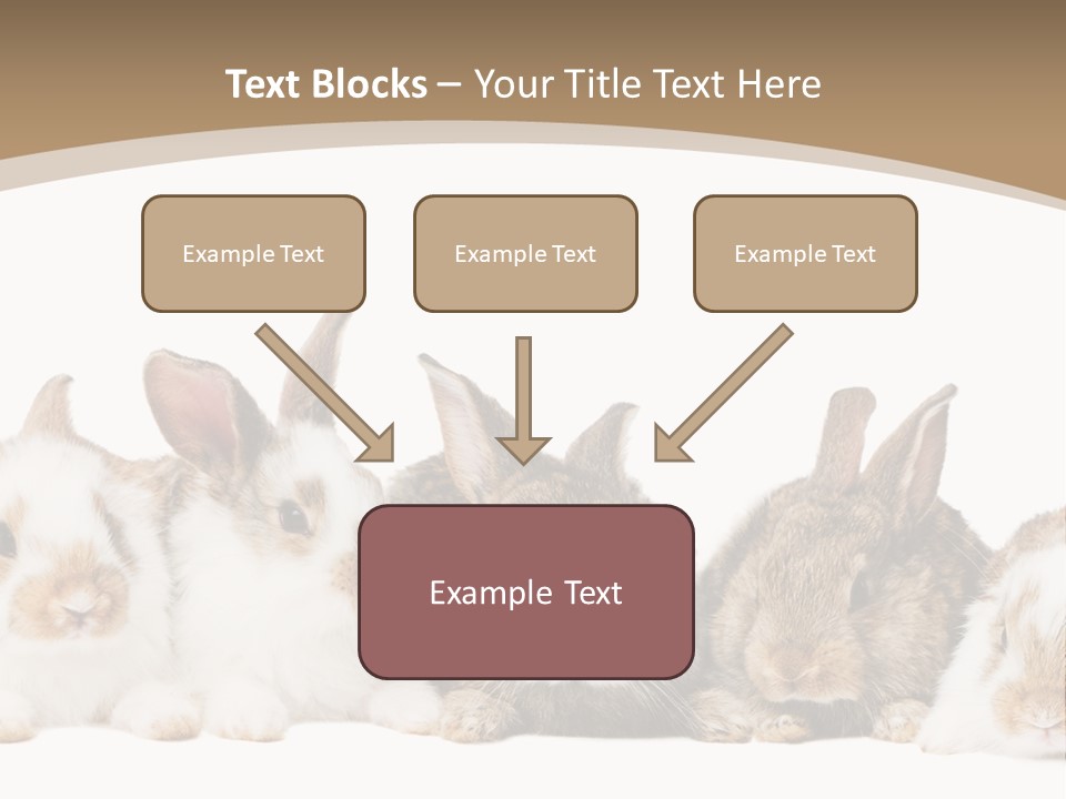 Baby Eight Curious PowerPoint Template