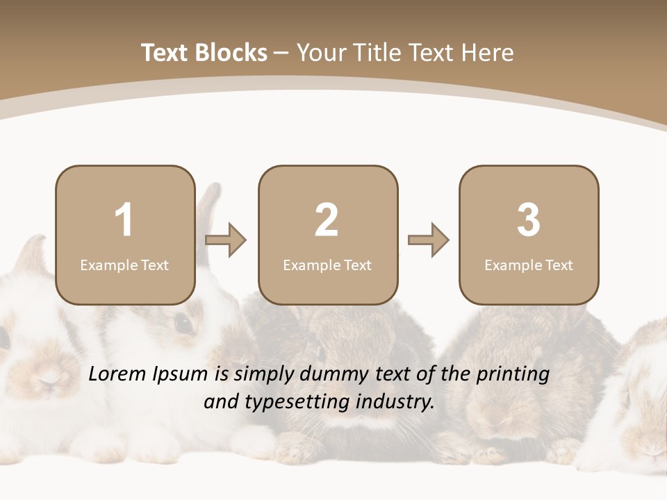 Baby Eight Curious PowerPoint Template