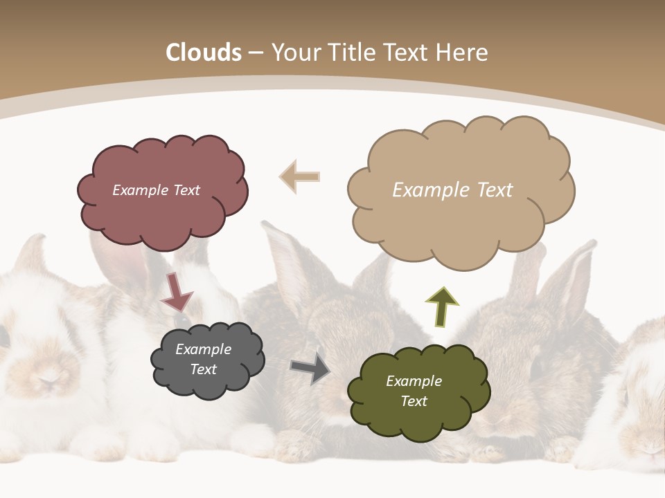Baby Eight Curious PowerPoint Template