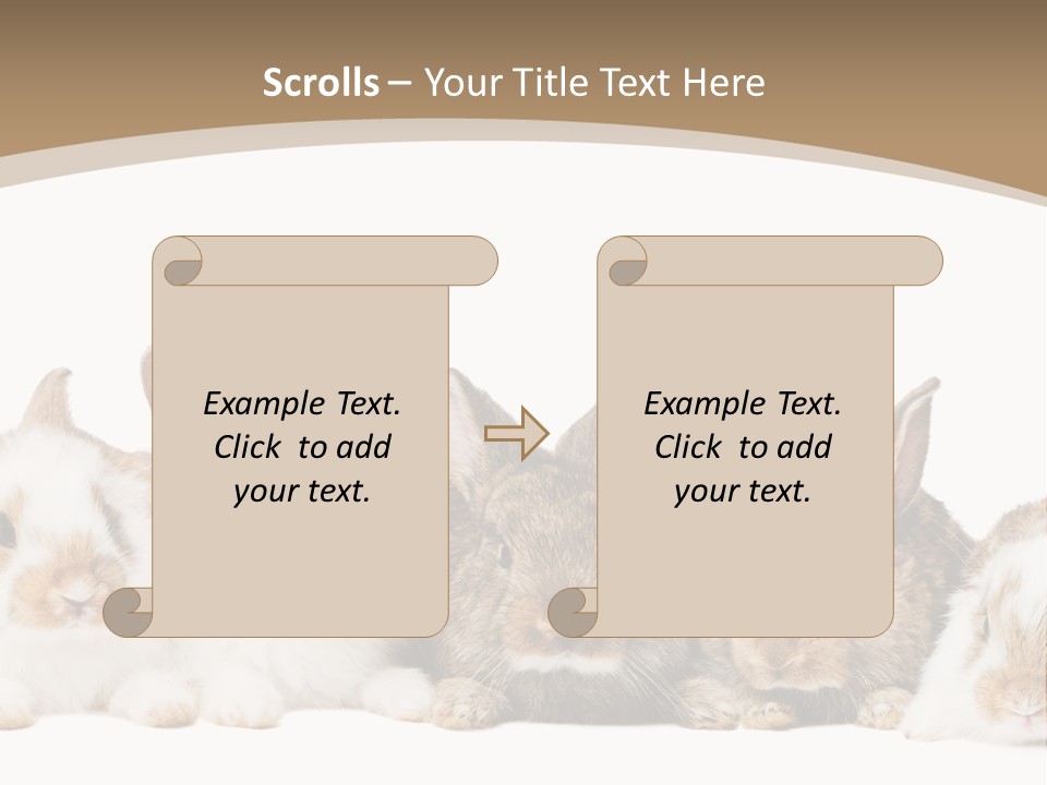 Baby Eight Curious PowerPoint Template