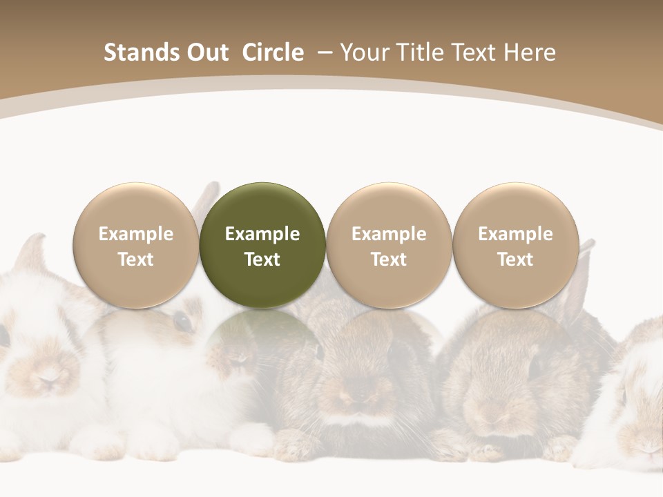 Baby Eight Curious PowerPoint Template