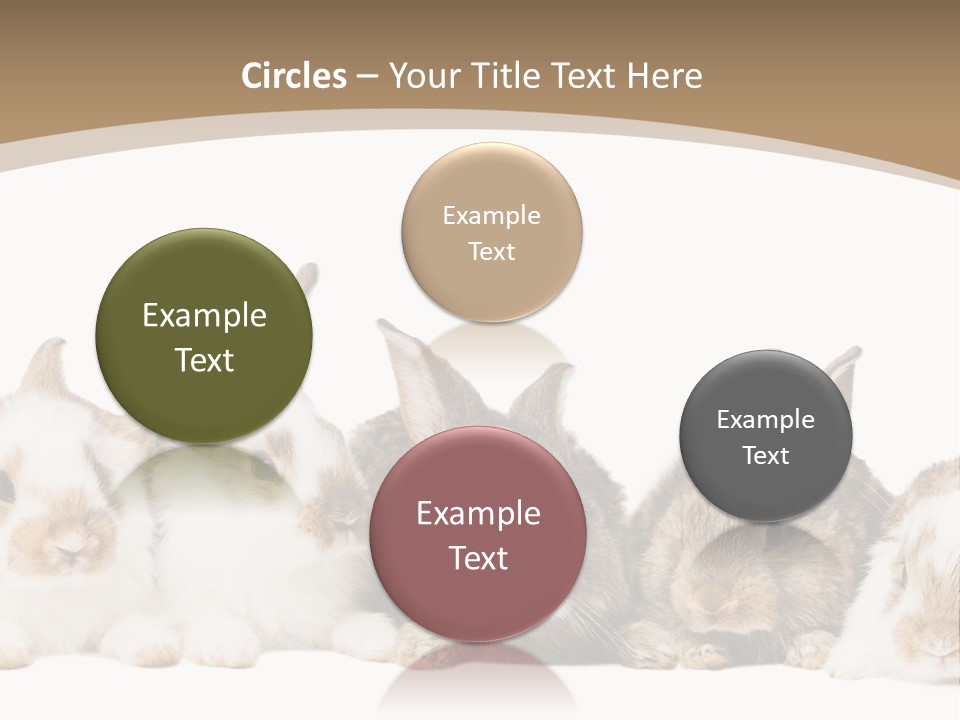 Baby Eight Curious PowerPoint Template