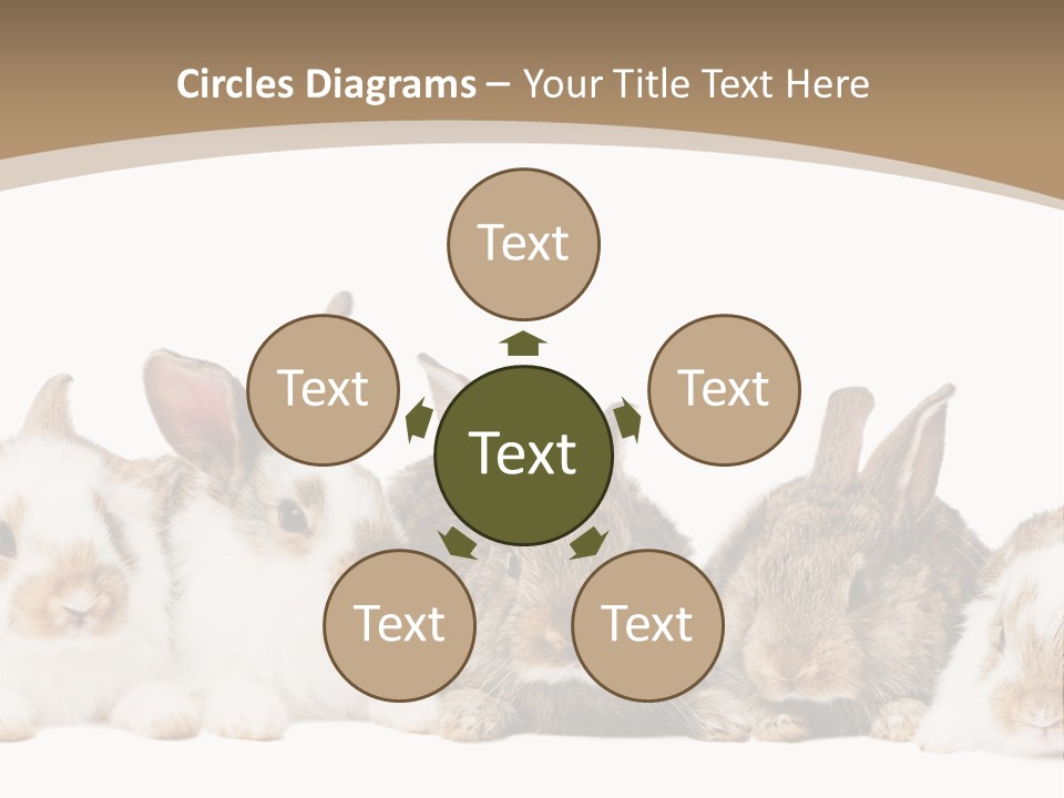 Baby Eight Curious PowerPoint Template