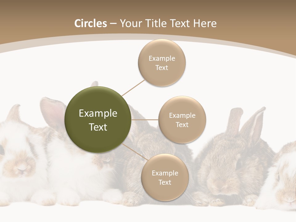 Baby Eight Curious PowerPoint Template